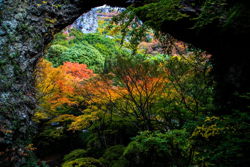 寒霞渓 香川の景観