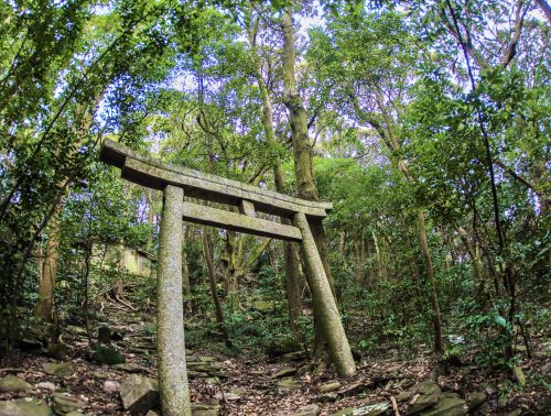 香川の景観 香川の自然環境等の画像を掲載し 環境保護意識を持っていただくためのサイトです ページ 5 ページ 5